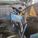 오복광택 이미지