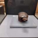 춘원당한방박물관 이미지