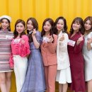 미스미스터투어