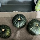 민상농장 이미지