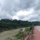 중간상사리 이미지