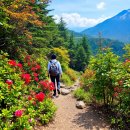 불갑약수터 | [100대 명산] 불갑산 등산코스와 사계절 매력