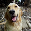 멍근멍근 이미지