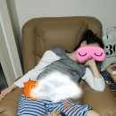 프불하우스 Daum카페
