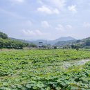 동부산LPG충전소