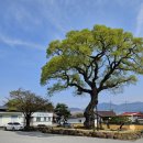 용방면사무소 이미지