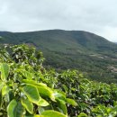 라파엘농장 이미지