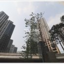 자이안공인중개사사무소 이미지