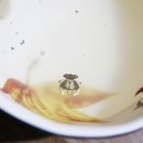 주)골드미인 이미지