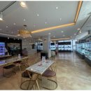 도그플랜 이미지