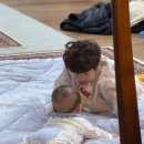 말미목장 이미지