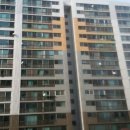 덕진-120 이미지