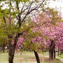 경정장후문 이미지