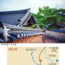 (주)본초마루 | 왕버들 초록 그늘 속 보랏빛 ‘유혹’…‘한 여름의 여유’ 만끽할 수 있는 경북 성주