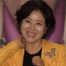 이태원초교 | 선우용여, 선우용여 프로필, 선우용여 나이, 선우용여 조식, 선우용여 벤츠