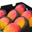 다인농장 이미지