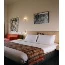 레몬트리 호텔(Lemon Tree Hotel) 이미지