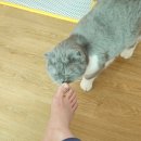 CU 동면점 | 2026.01.01 목요일