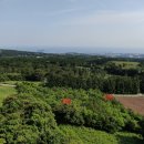 영남동