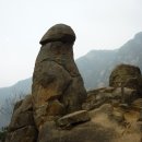 동산목재 - 전주시 덕진구 인후동1가 | 동산목재