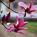 진성 마을회관 이미지