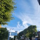 유니댕댕 이미지