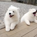 스타클라우드 이미지