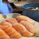영남대 돈뜨락 경산본점 | 경산맛집 손시스시 영남대 본점, 숙성초밥 가성비세트 두툼연어초밥 후기