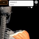 크라우드짐 이미지