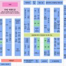 라피스게코 이미지