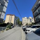 분당-317 이미지