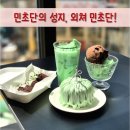 카페민트 | 성수 디저트카페 민트초코월드, 민초단 방문 후기