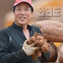 고구마PC 이미지