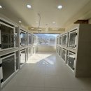 코모네펫하우스 | 부산강아지유치원 강아지호텔 그리고 애견유치원까지! 펫퍼센트&amp;코모네하우스