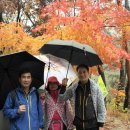 연안초등학교 이미지