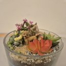 후리지아 미니꽃 케이크 만들기 | 다육이 미니정원 만들기 클래스｜롯데백화점 문화센터 원예수업 후기