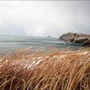 사계올레 이미지