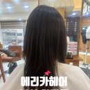 부산광역시청_2층 | [부산 양정동] 부산시청미용실 에리카헤어 양정점 클리닉 후기