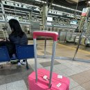 마시멜로냥 이미지