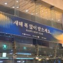 2025 신년음악회 | 2025 신년음악회 후기 ft 예술의전당 콘서트 홀 주차 및 시야