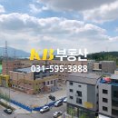 팬시랑 신안 이미지