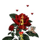 나무한그루 이미지