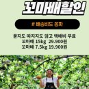 강남농원 이미지