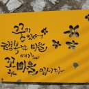 송아추어탕