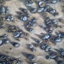 강화여성복지회관 이미지