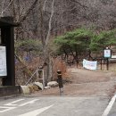 포레스트스테이 이미지