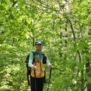 함양오르Go 금원산-기백산 산행 발자취(26.05.16) 이미지