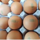 유수정농장 이미지