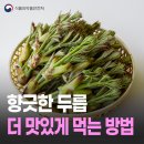 [식품의약품안전처] 향긋한 봄나물 '두릅'을 아시나요? 이미지