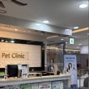 강아지분양 더펫 이미지